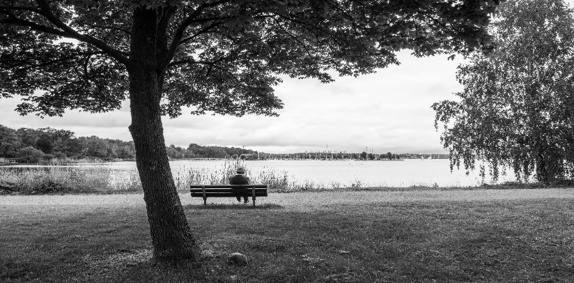 An empty park bench next to a body of water

Description generated with very high confidence